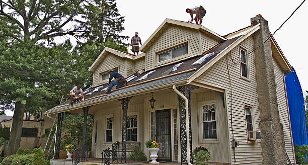 Best Storm Damage Roof Repair  in Parkville, MD